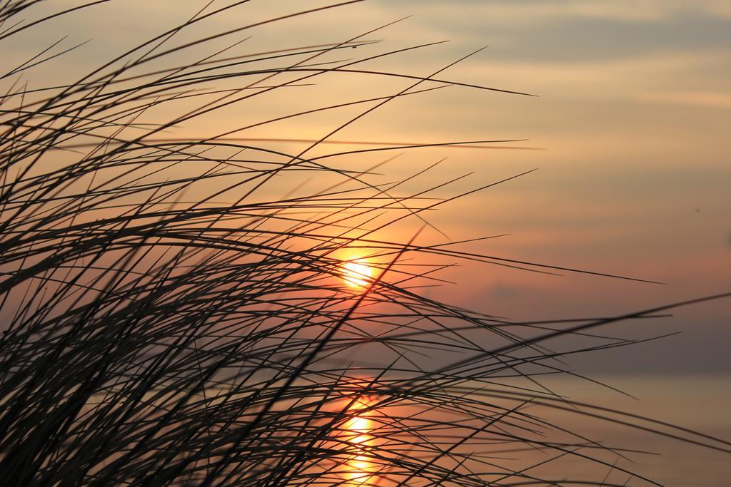Appartmentanlage Zur Duene Insel Poel